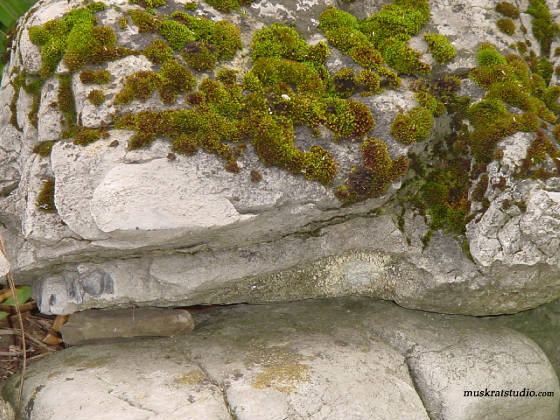 mossrock.jpg